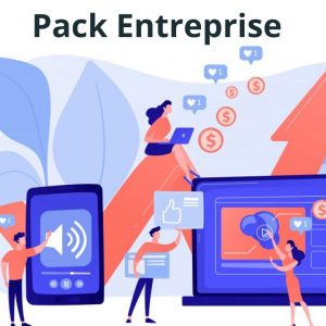 Pack Entreprise – maintenance